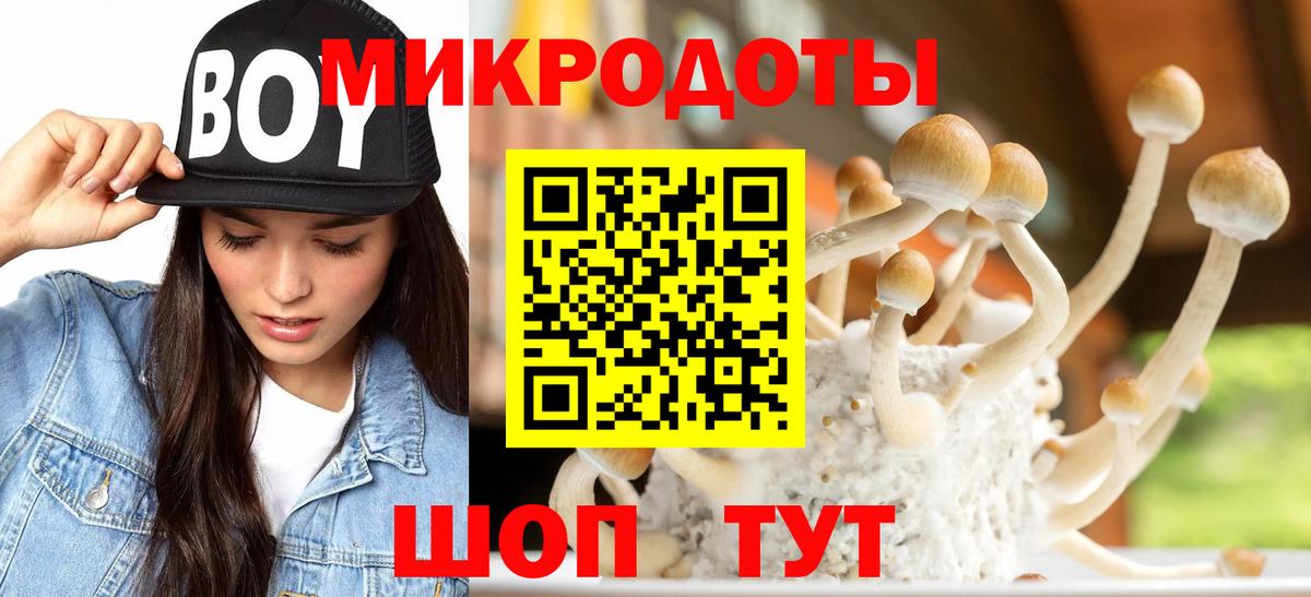 Псилоцибиновые грибы ЛСД  Вход с VPN  Тавда  Псилоцибиновые грибы Psilocybe 