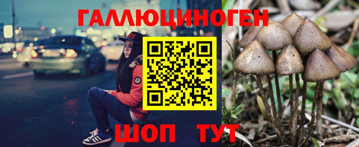 Псилоцибиновые грибы ЛСД Тавда